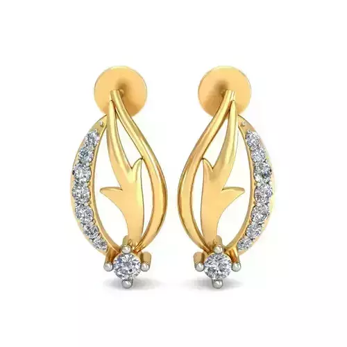 Earrings - 3014