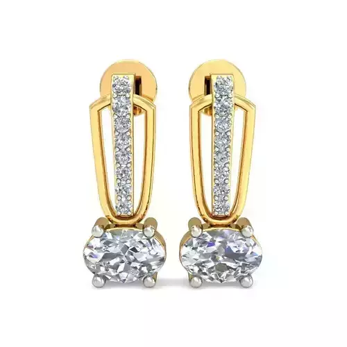 Earrings - 3013