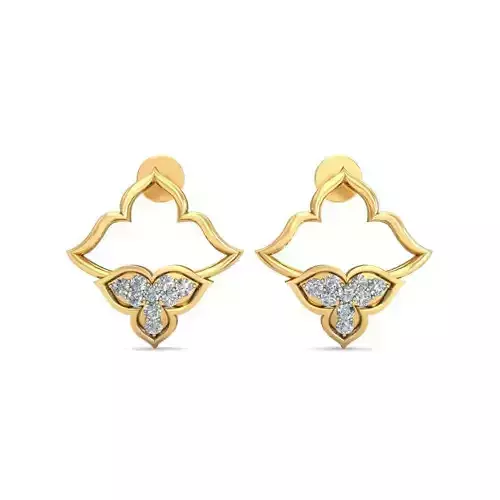 Earrings - 3011