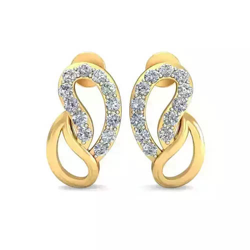 Earrings - 3010