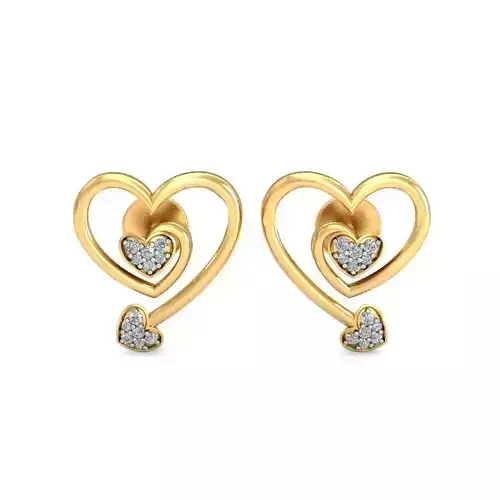 Earrings - 3004