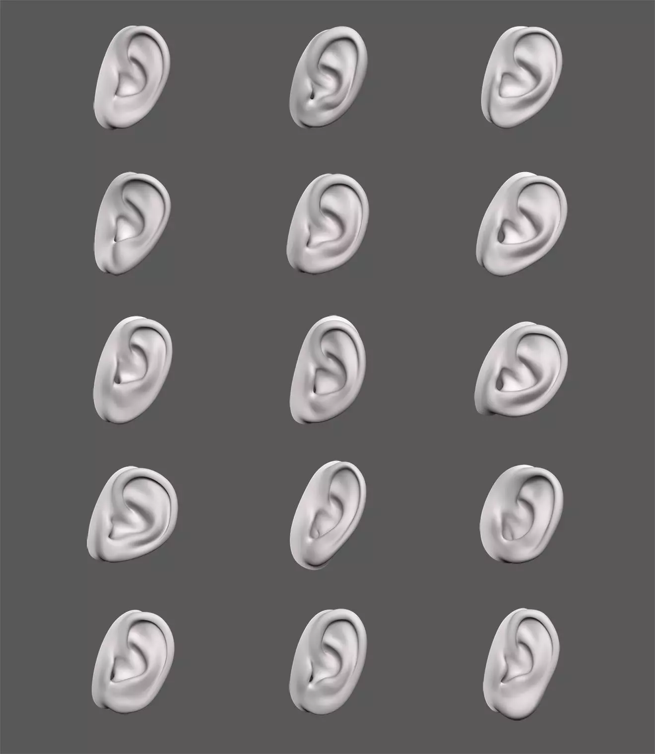 Ears Human 3D model
