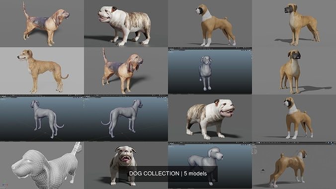 DOG COLLECTION hound 
