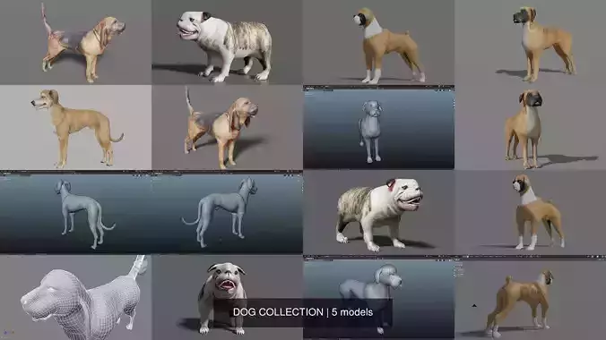 DOG COLLECTION hound 