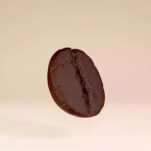 High Poly Coffee Bean Sculpt 3D model