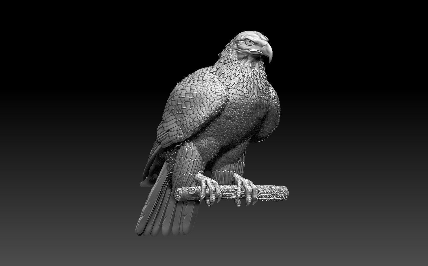 eagle on branch 3D print model_10