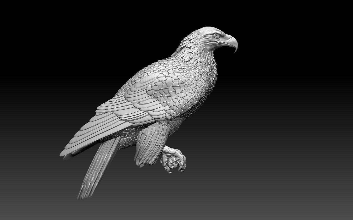 eagle on branch 3D print model_20