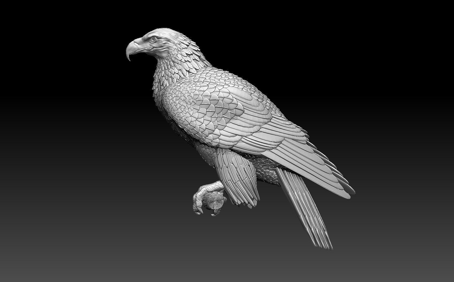 eagle on branch 3D print model_17