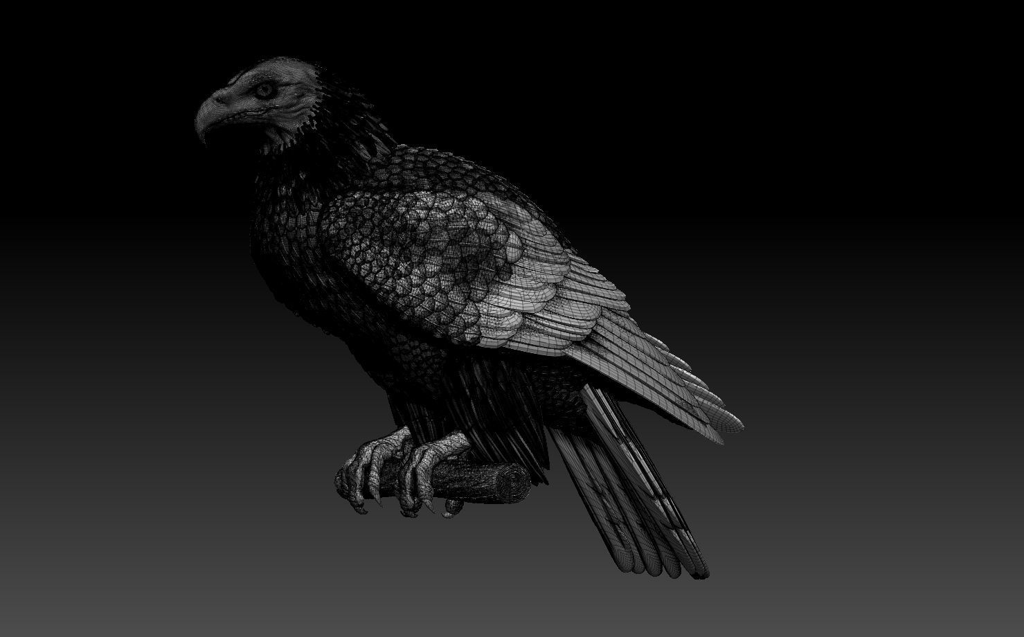 eagle on branch 3D print model_6