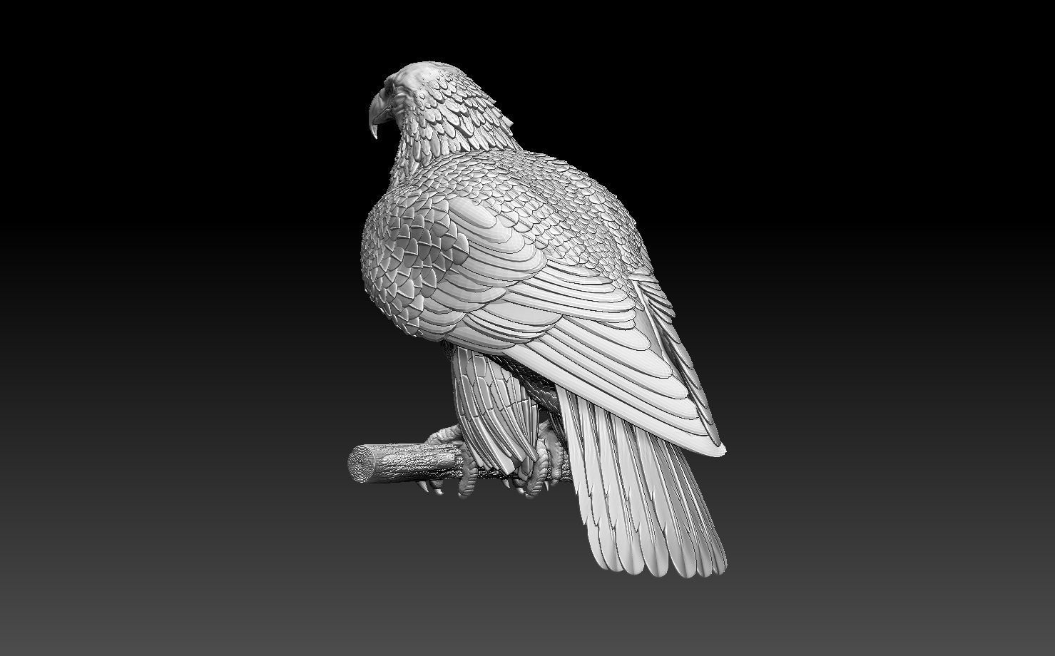 eagle on branch 3D print model_8