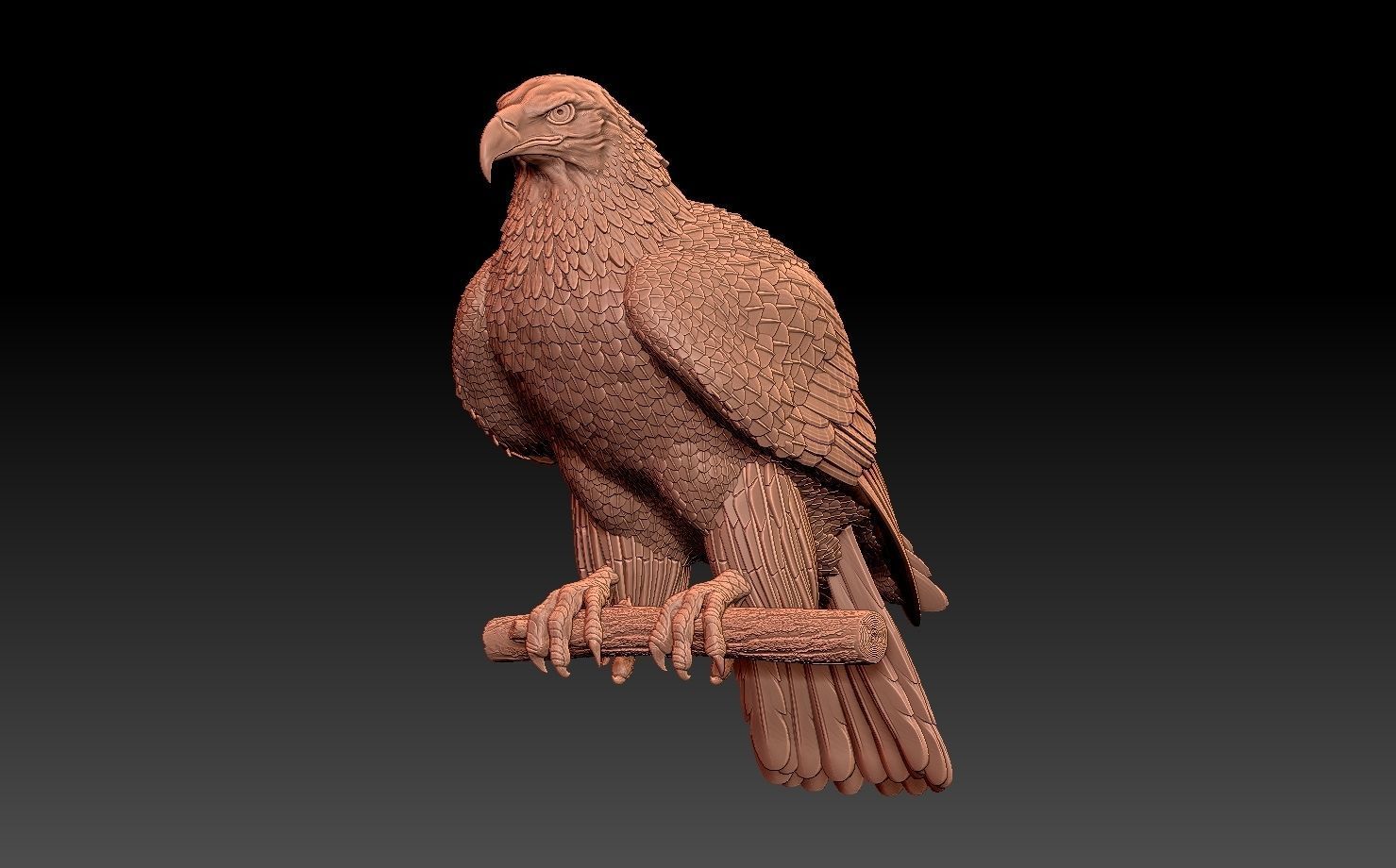 eagle on branch 3D print model_23