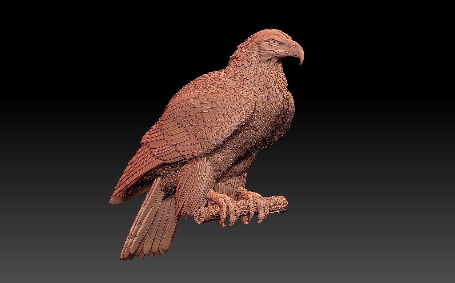 eagle on branch 3D print model_12