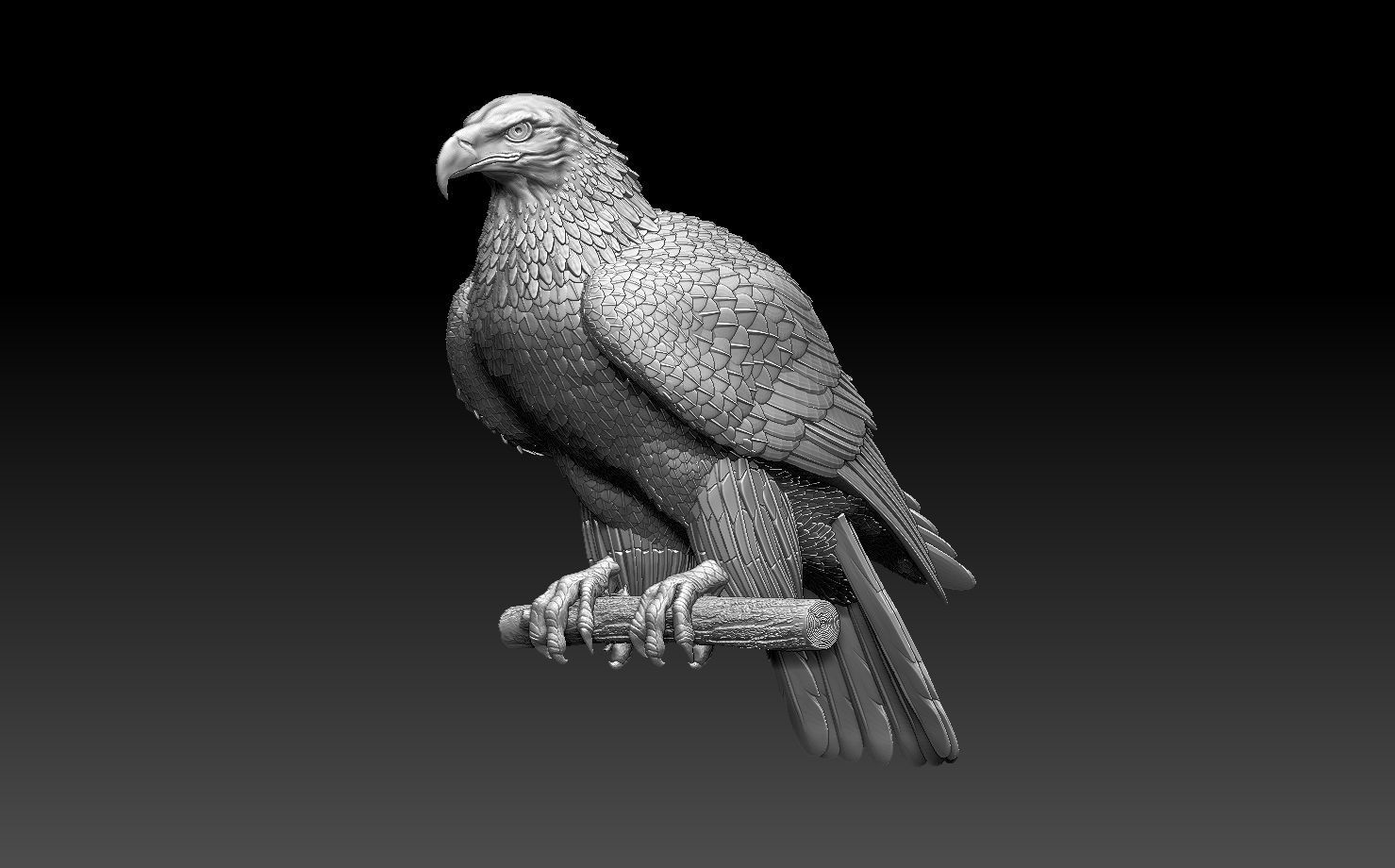 eagle on branch 3D print model_4
