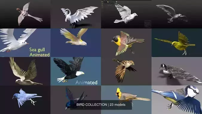 BIRD COLLECTION parrot flying in air 
