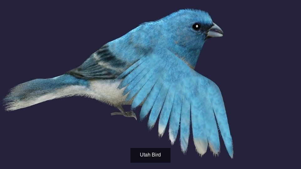 BIRD COLLECTION parrot flying in air _42