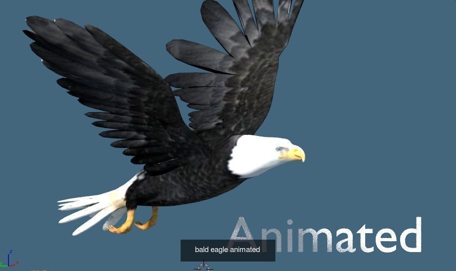 BIRD COLLECTION parrot flying in air _33