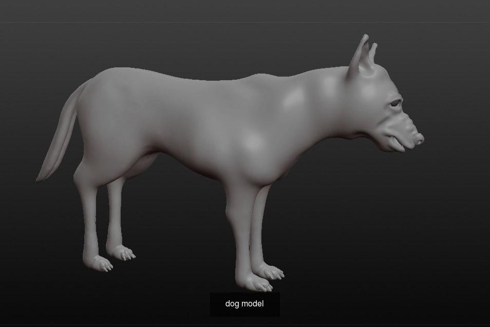 dog collection german shepherd _2