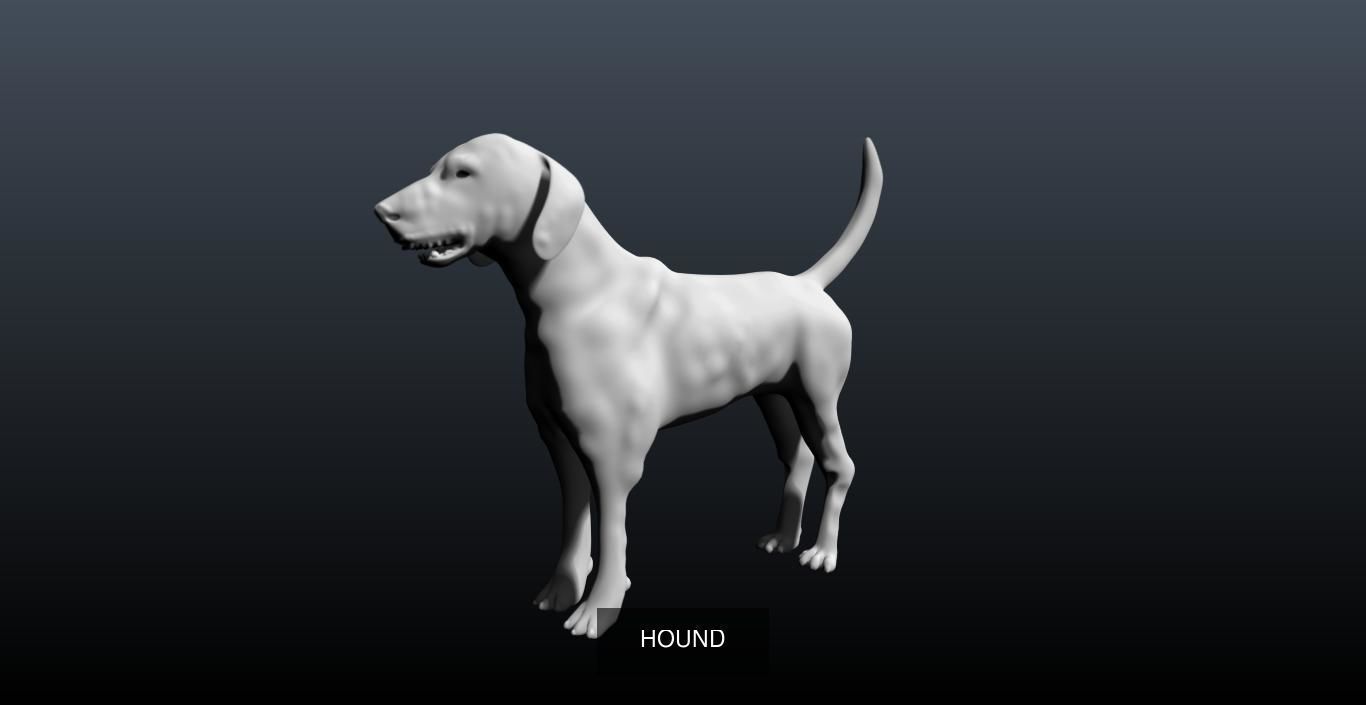 dog collection german shepherd _3