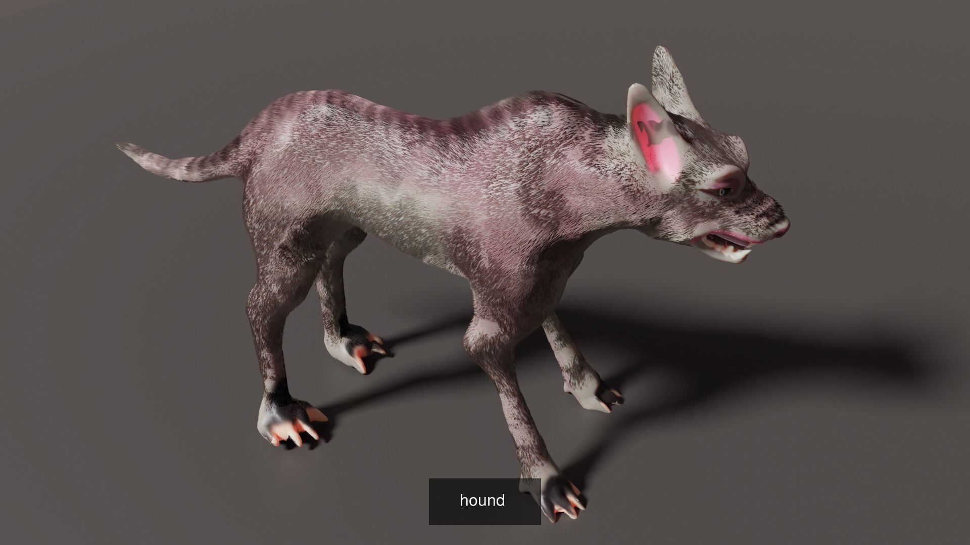 dog collection german shepherd _12