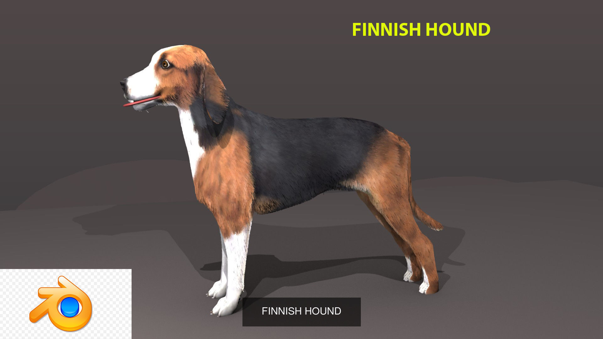 dog collection german shepherd _10