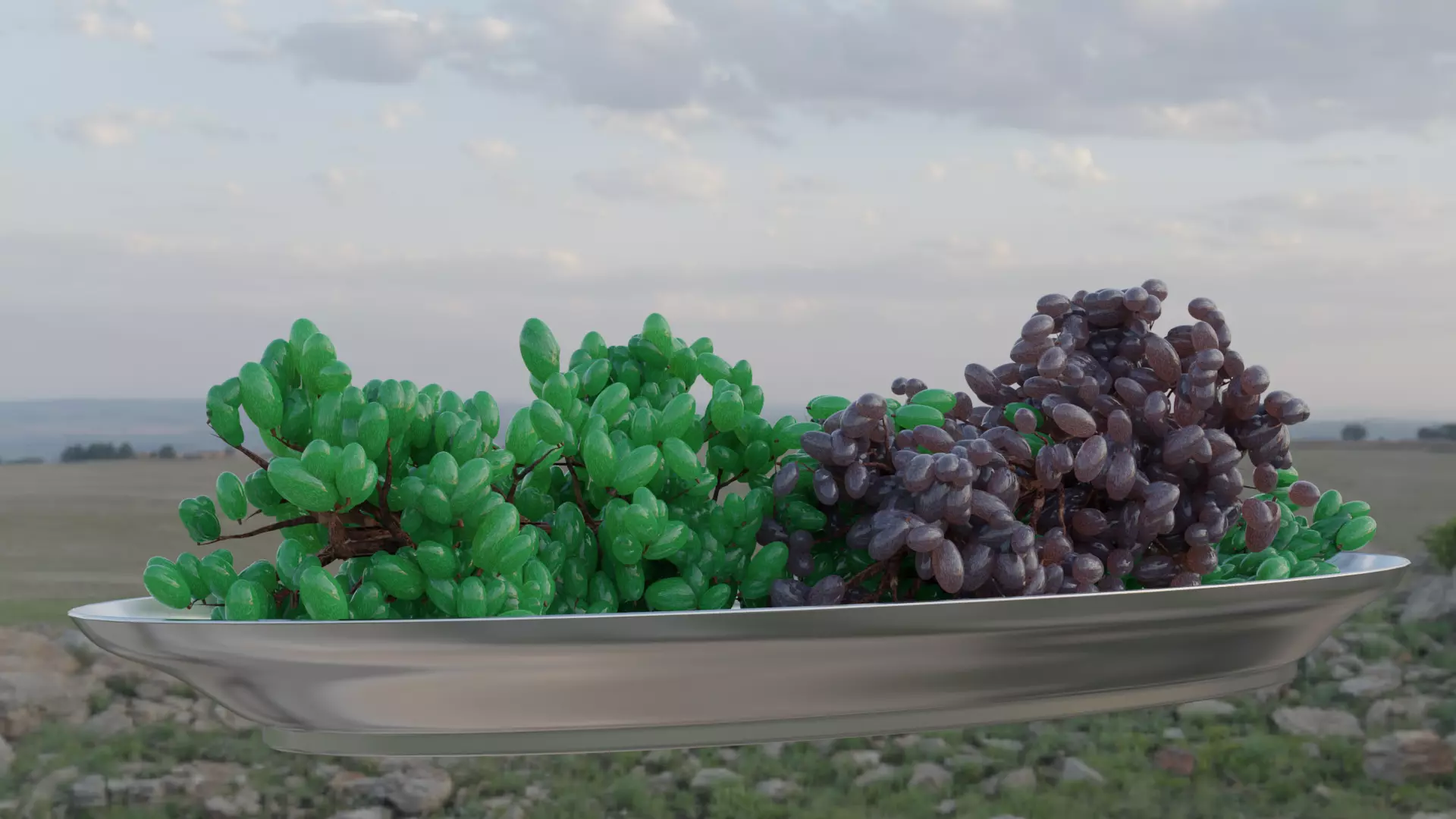 Grapes on a plate Free 3D model