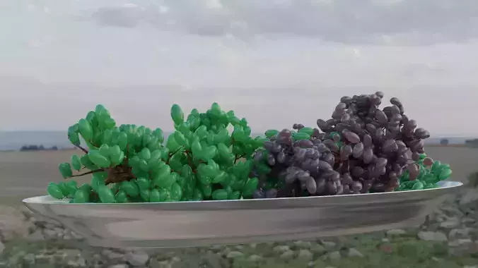 Grapes on a plate Free 3D model