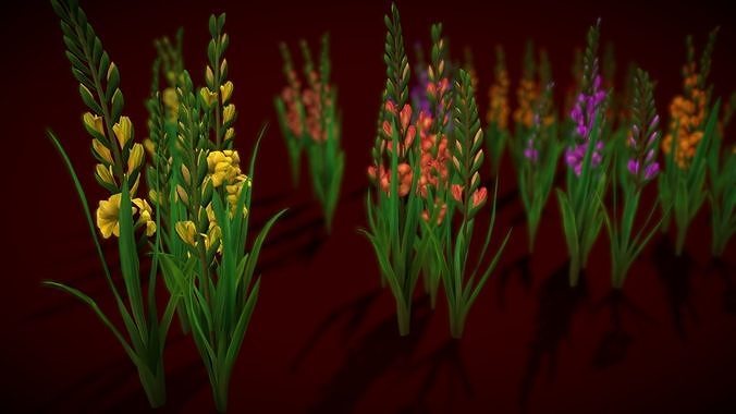 Flower Gladiolus Low-poly 3D model