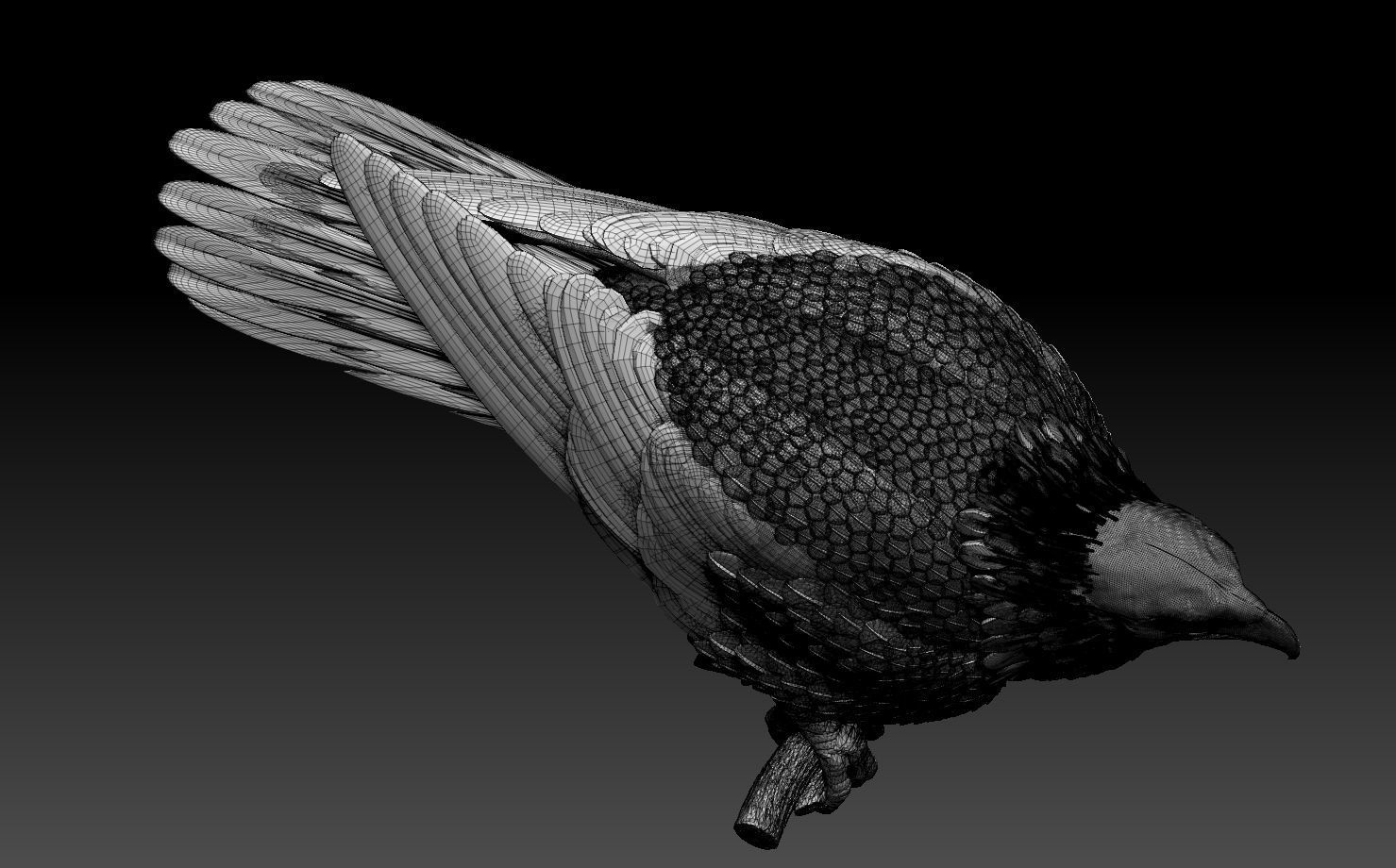 eagle 3D print model_7