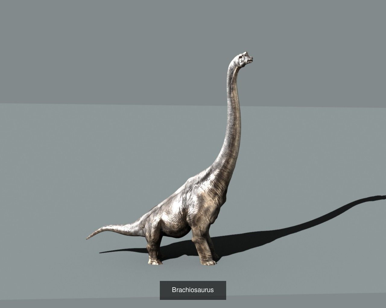 DINOSAUR COLLECTION _10