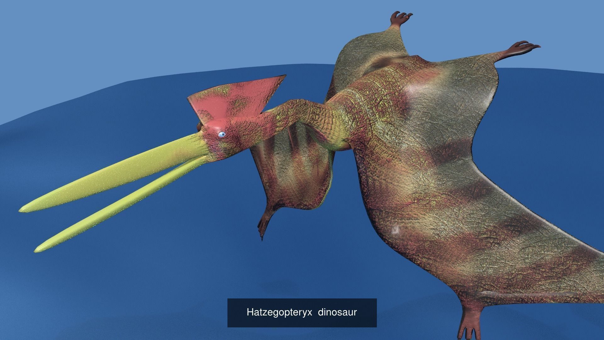 DINOSAUR COLLECTION _8