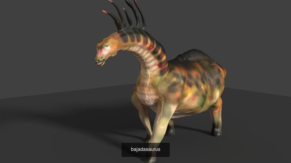 DINOSAUR COLLECTION _7