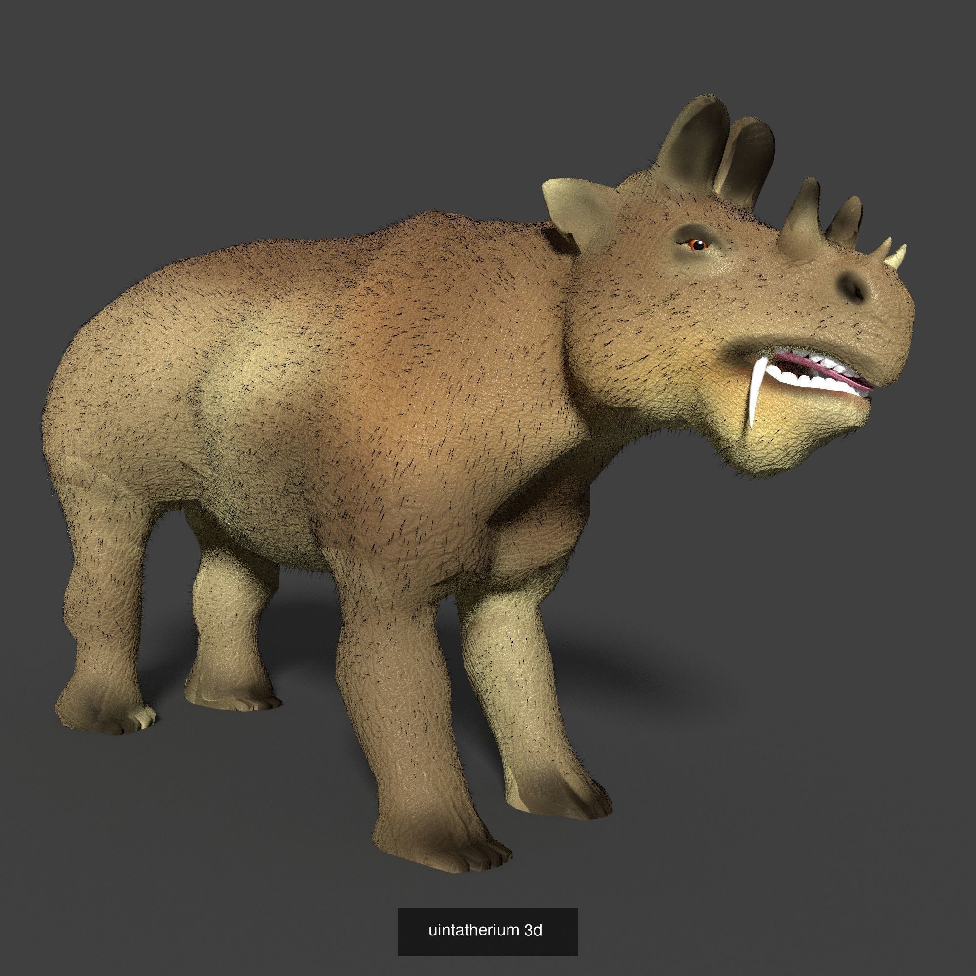 DINOSAUR COLLECTION _12