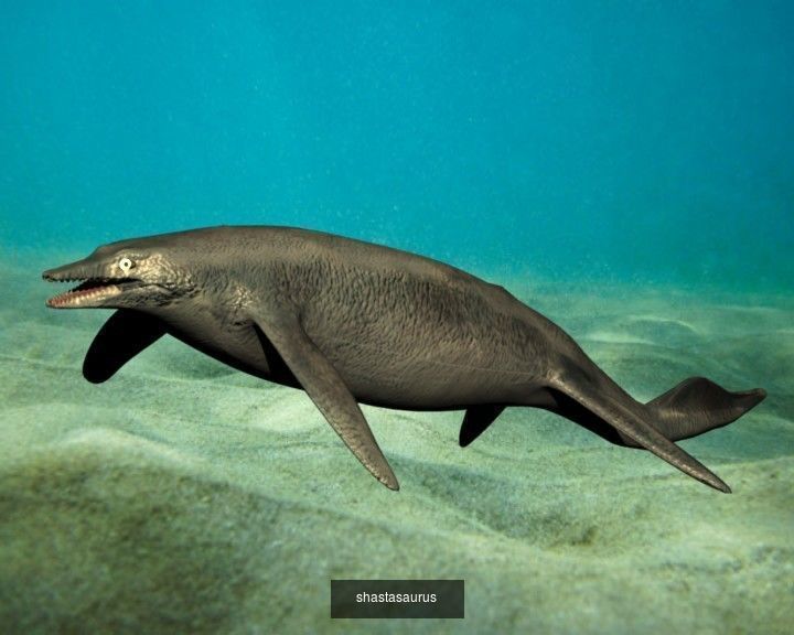 DINOSAUR COLLECTION _9