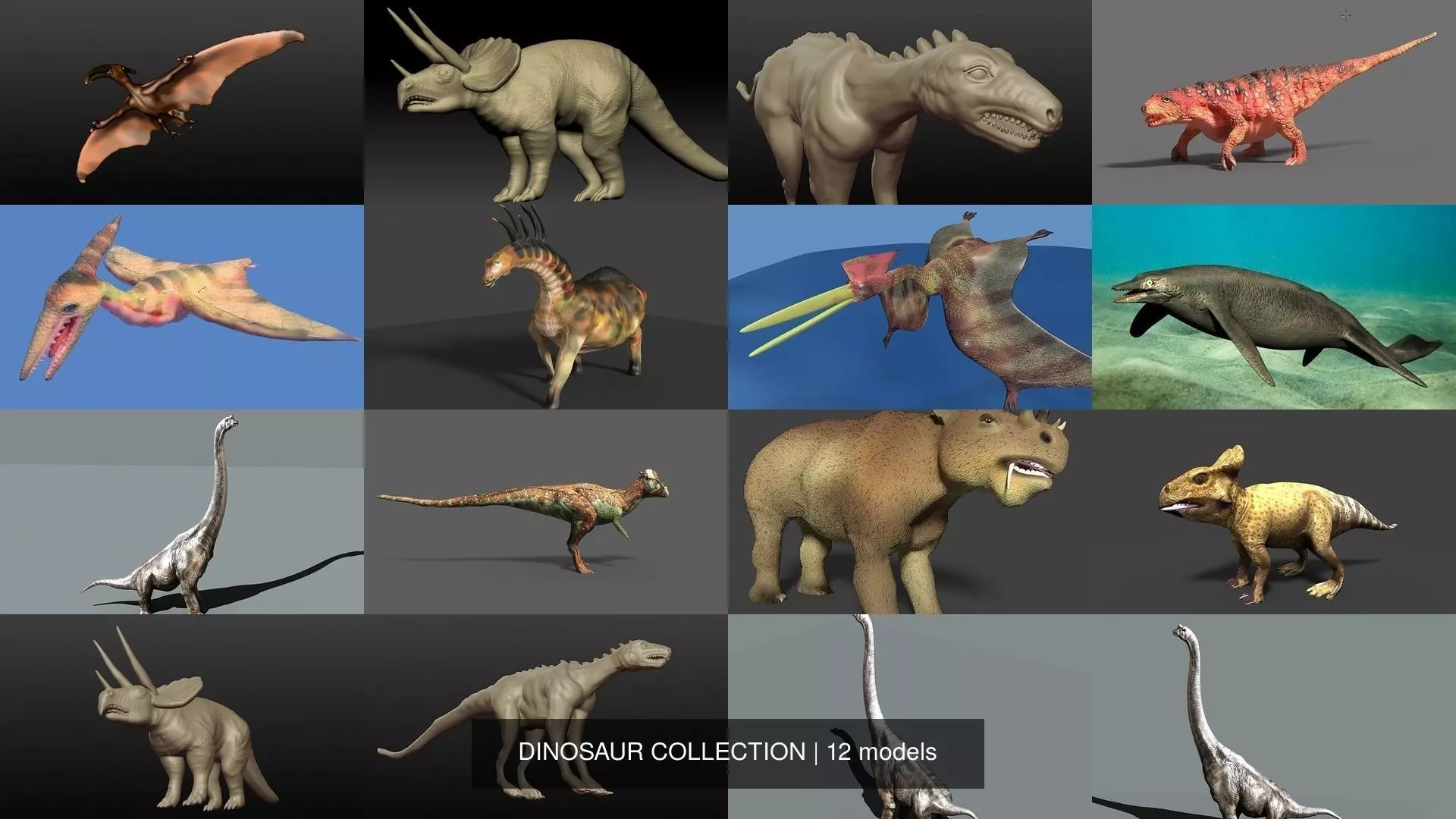 DINOSAUR COLLECTION _0