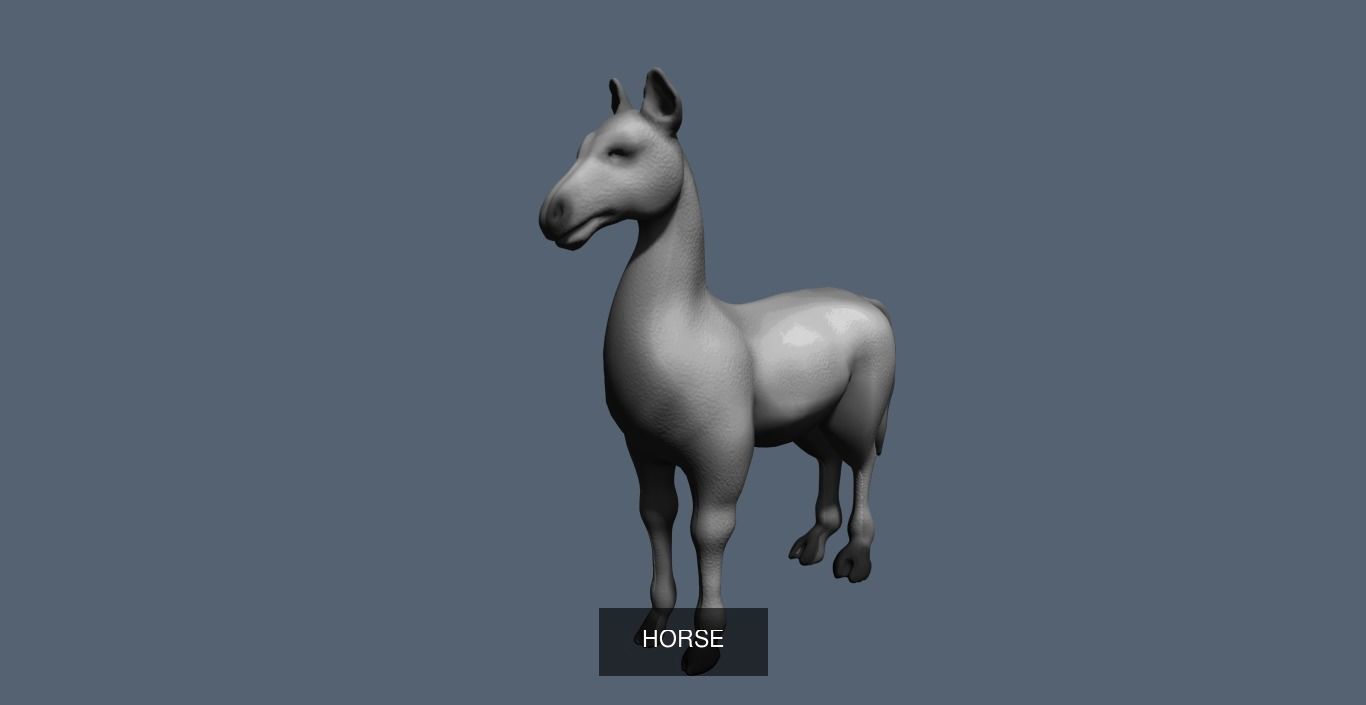 Horse Collection _9