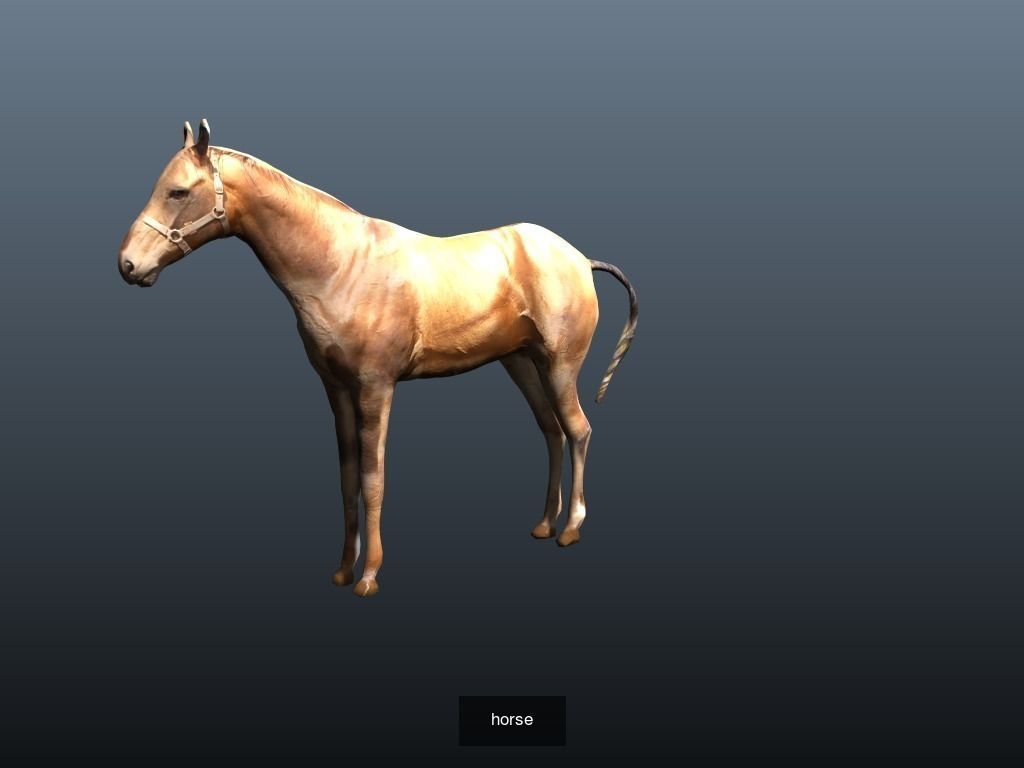 Horse Collection _1