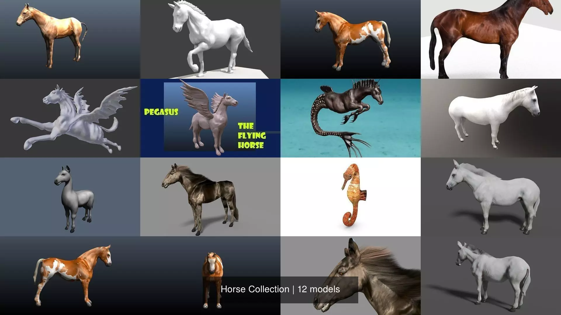 Horse Collection _0