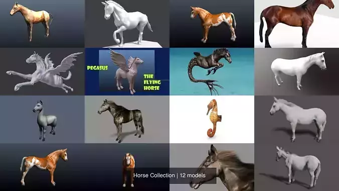 Horse Collection 