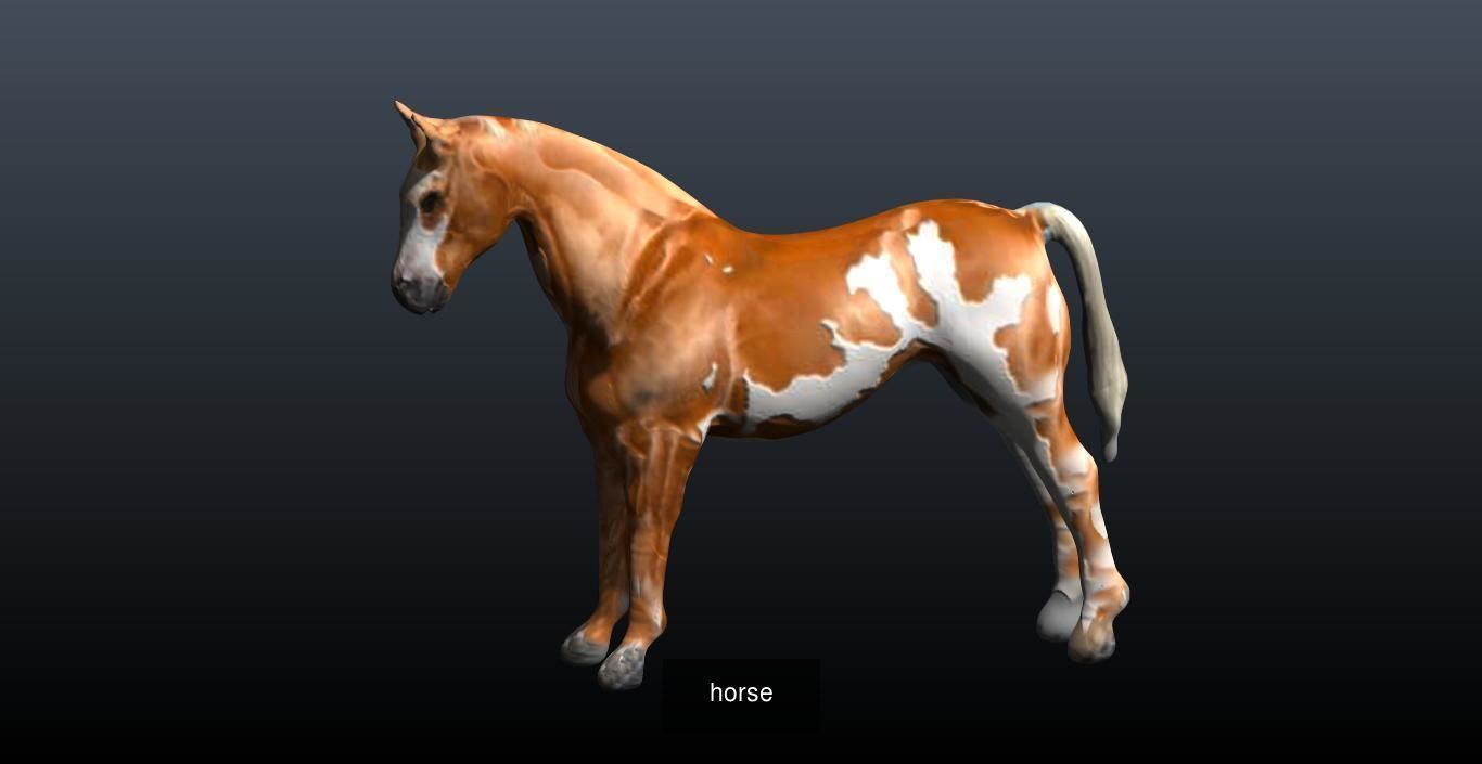 Horse Collection _3