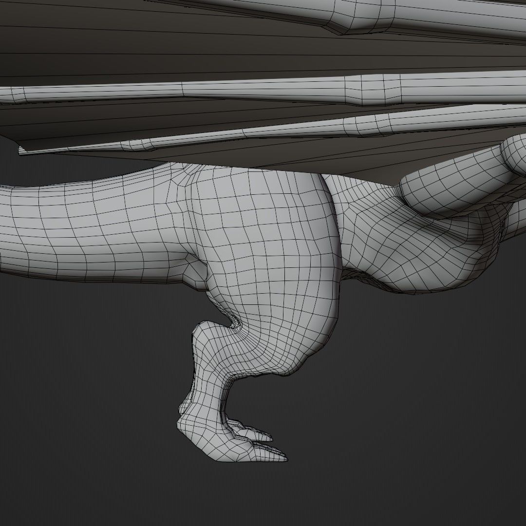 Wyvern asset - rigged Low-poly 3D model_24