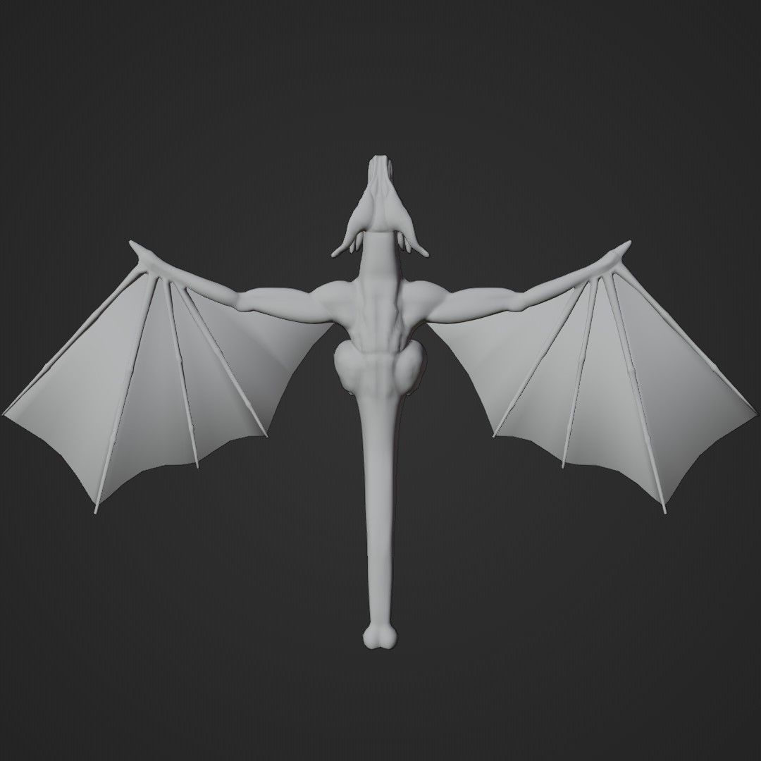 Wyvern asset - rigged Low-poly 3D model_13