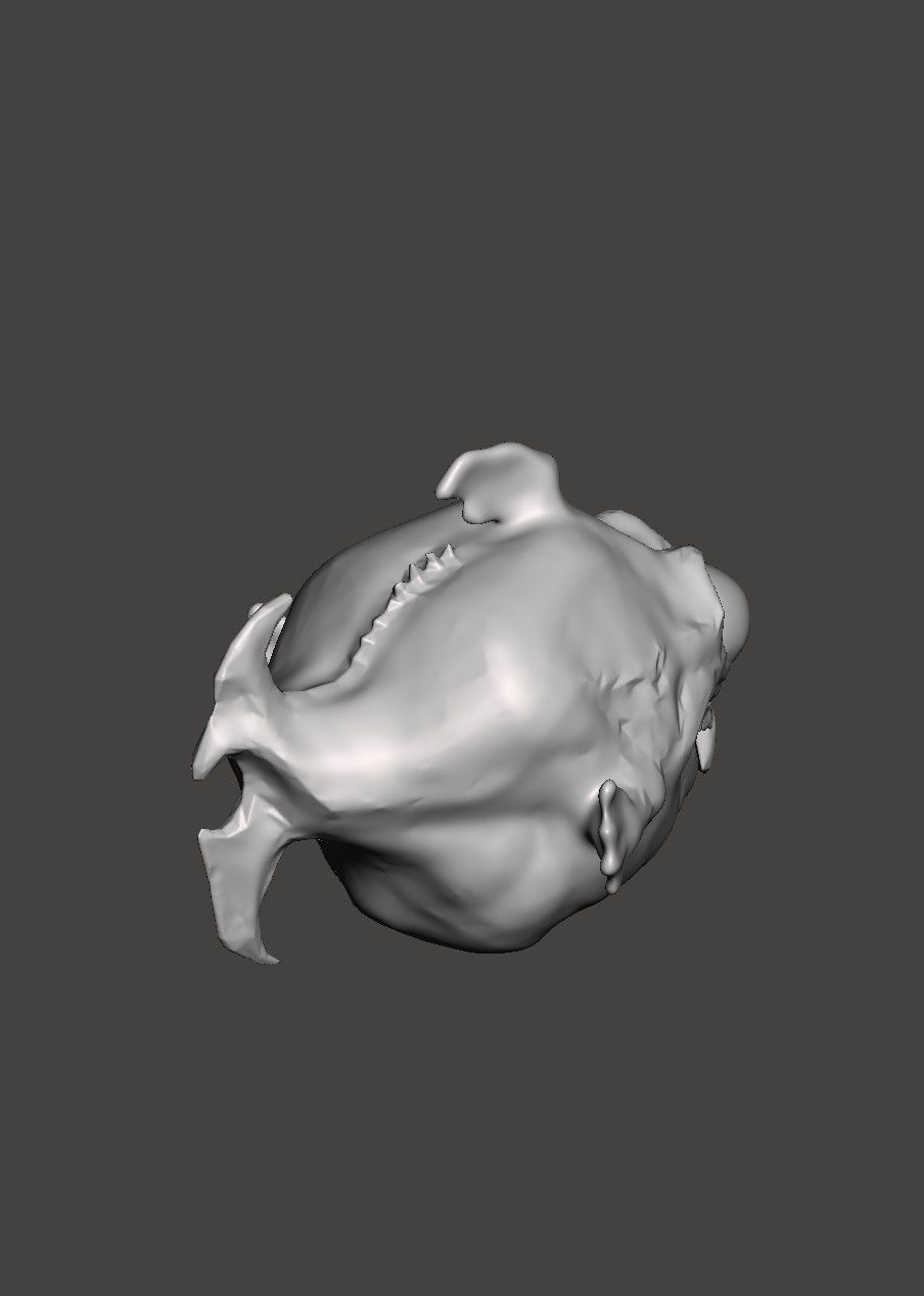 DOPEFISH - Doom Eternal Easter Egg - STL for 3D printing 3D print model_4