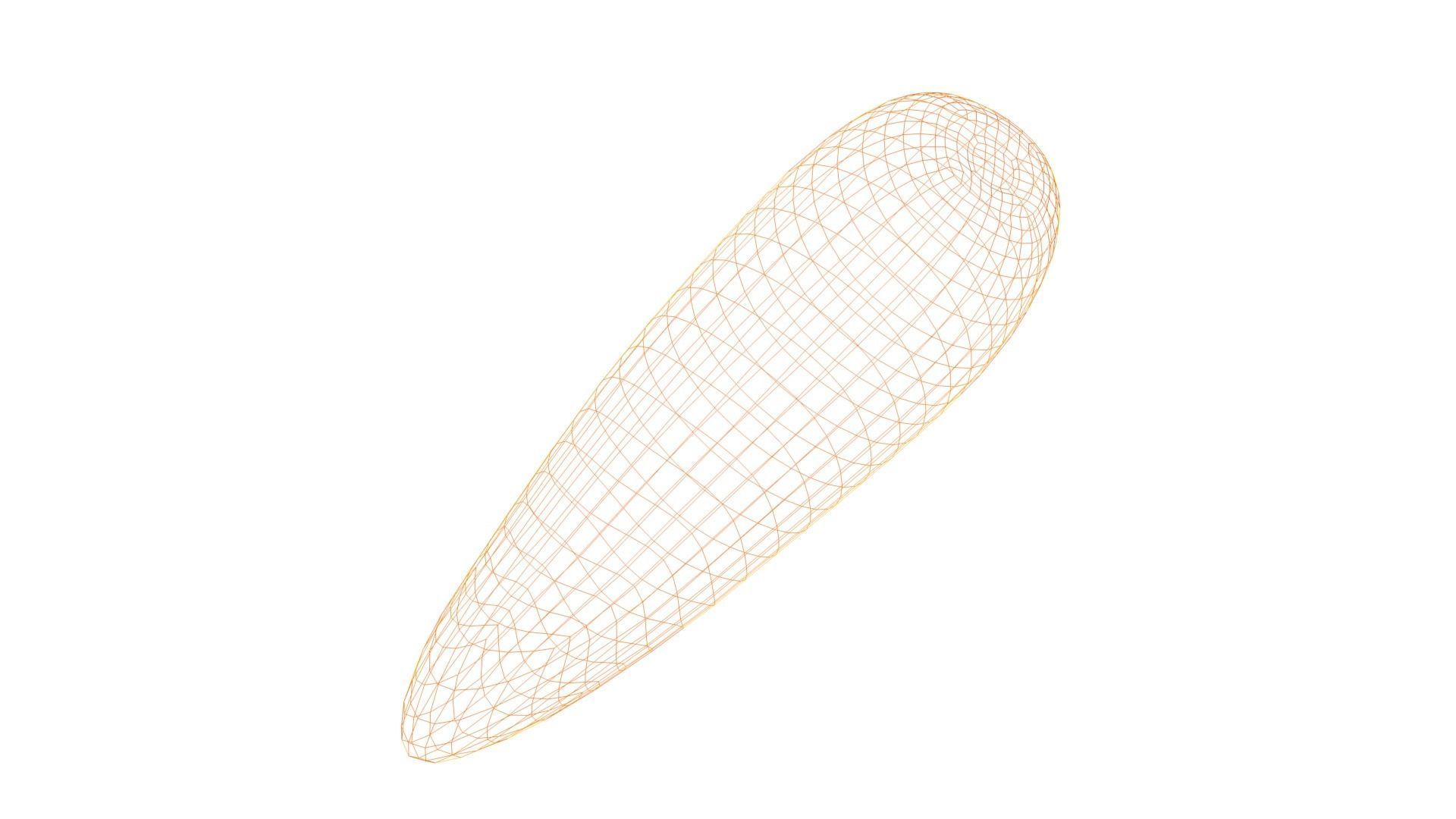 Carrot two carrots Low-poly 3D model_8