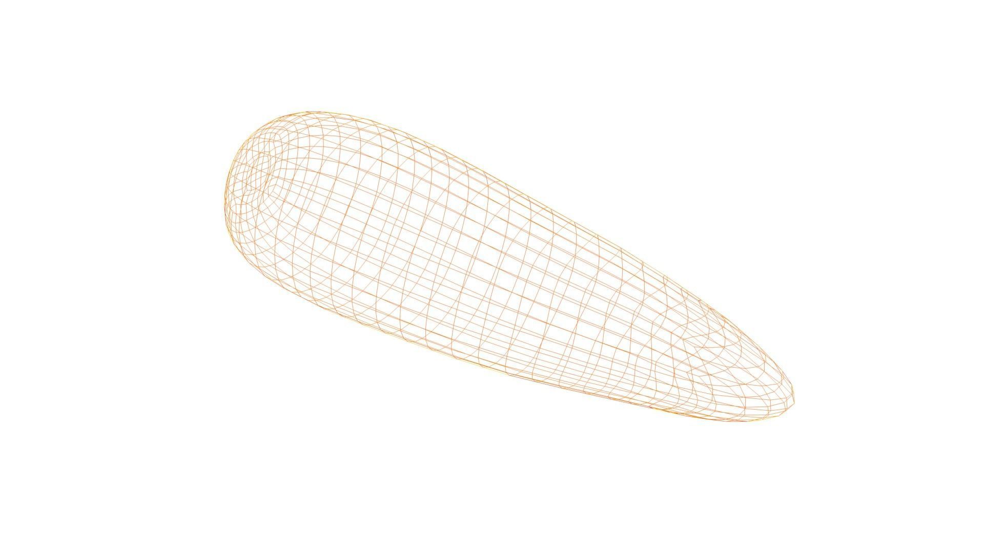 Carrot two carrots Low-poly 3D model_7
