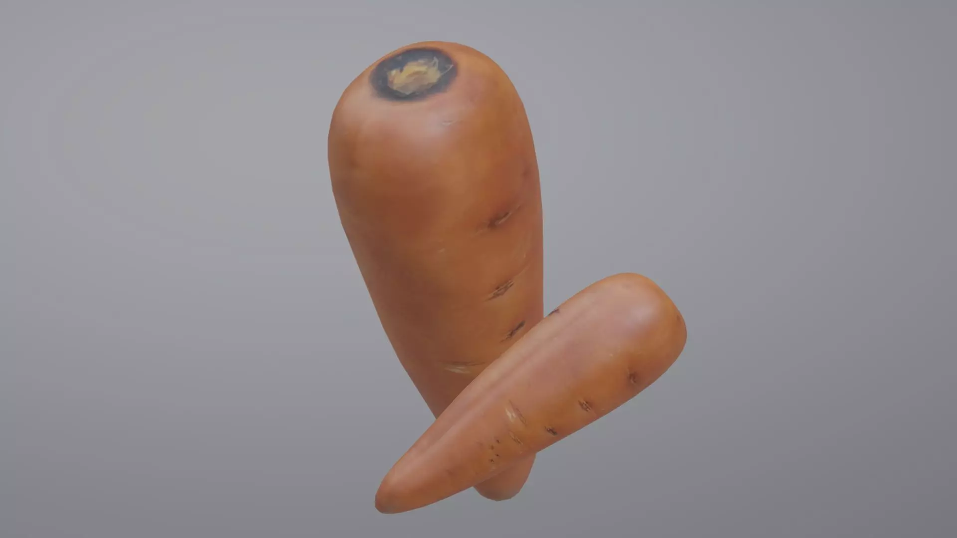 Carrot two carrots Low-poly 3D model_0