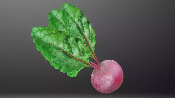 Beetroot radish with leaves Low-poly 3D model