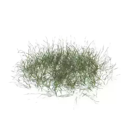 Pile Of Grass