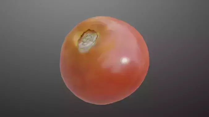 Tomato