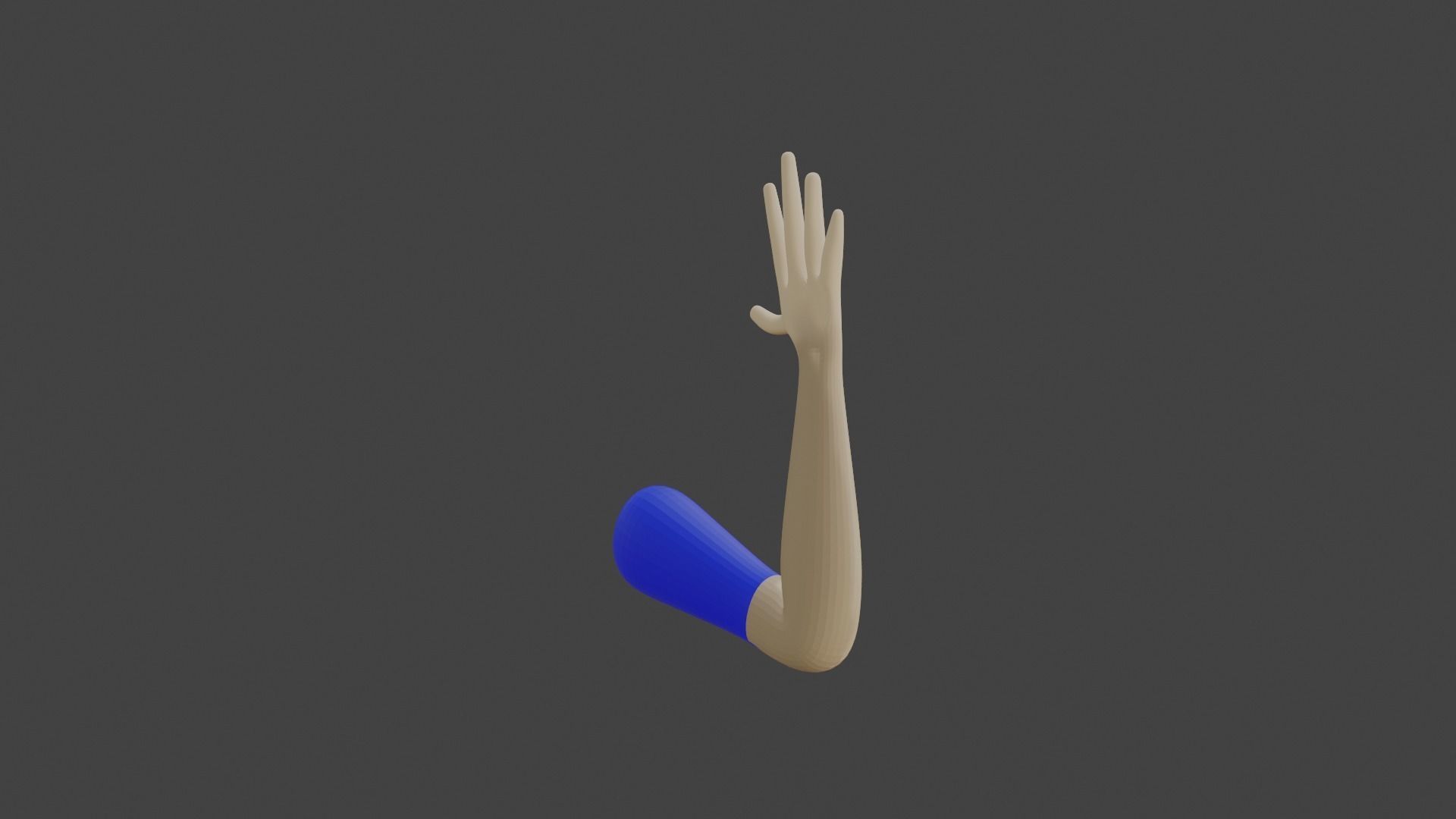 lowpoly human fps hands riged Low-poly 3D model_1