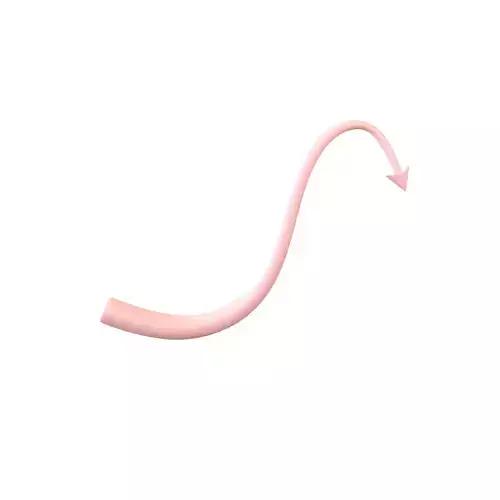 Devil Tail v1 003 Low-poly 3D model